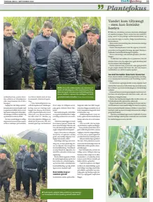 Side 11